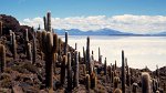 Salar de Uyuni, Isla del Pescado 16.01.1997