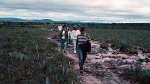 Gran Sabana, Salto Aponwao 22.11.1996