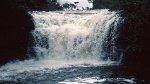 Gran Sabana, Quebrada de Pacheco 22.11.1996