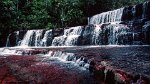 Gran Sabana, Quebrada de Jaspe 23.11.1996