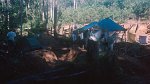 Jungle trip from El Dorado 25.11.1996