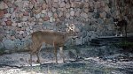 Canaima N.P. 01.12.1996