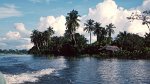 Orinoco Delta 03.12.1996