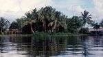 Orinoco Delta 03.12.1996