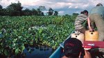 Orinoco Delta 03.12.1996