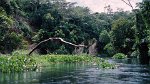 Orinoco Delta 03.12.1996