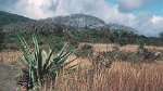 Guanacaste, Parque Nacional Rincón de la Vieja 04.03.1996