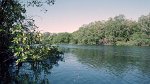 Tour to the mangroves 06.03.1996
