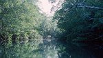 Tour to the mangroves 06.03.1996